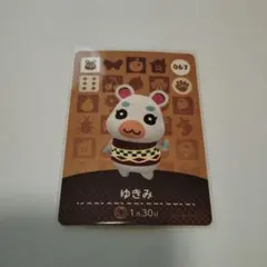 【ゆう様専用】どうぶつの森 amiiboカード ゆきみ