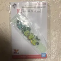 ポケモン 1番くじ　ラバーコレクション フシギダネ チコリータ キモリ ナエトル