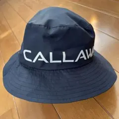 Item thumbnail for item 37d8ff5a-f5e8-4db4-b82c-a0c14d16853c