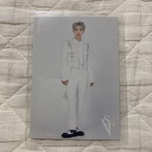 SEVENTEEN 2020 ドームツアー SVT トレカ ホシ