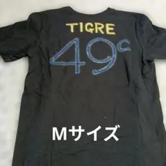 Item thumbnail for item 5a45b956-e9a0-4124-aa99-6f968b8c6d0a