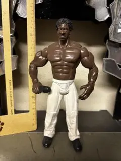 WWE スーパースター ビリー・グラハム トイザらス限定フィギュア