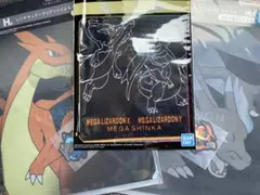 一番くじ ポケモン ハンドタオル、クリアファイル リザードンセット