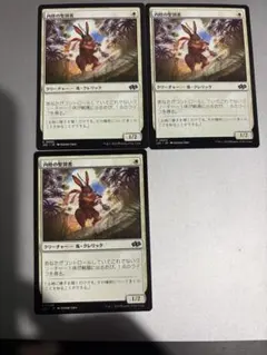 内陸の聖別者のサムネイル