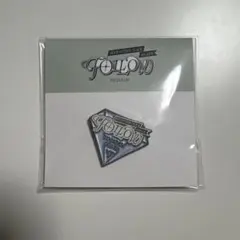 SEVENTEEN セブチ FOLLOW TO JAPAN ピンバッジ 大阪