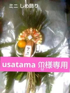 25日発送　usatama ᙏ̤̫様専用