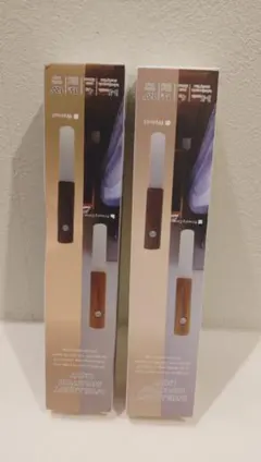 Intelligent Induction Light 2個セット