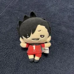 2026年最新】黒尾鉄朗 にとたんの人気アイテム - メルカリ