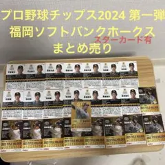 プロ野球チップス2024 福岡ソフトバンクホークス　まとめ売り