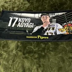 Item thumbnail for item 9af8cc46-f76e-4e99-9969-c68225ee119c