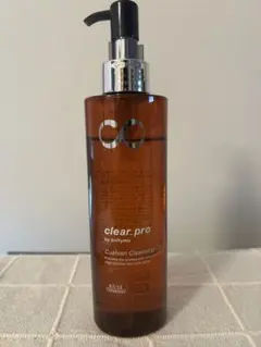 Item thumbnail for item 13d41172-5cfe-44d7-b480-3b11284d97c2