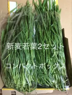 ナオにゃん♪様 リクエスト 2点 まとめ商品