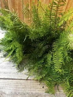 mi様 リクエスト 5点 まとめ商品