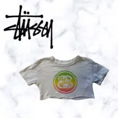 着画あり　レア　《 stussy 》 キッズ服　100サイズ　ミニ丈トップス