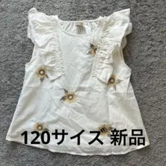 Item thumbnail for item 989a36da-9e77-46ba-bc22-688777d7fe8c