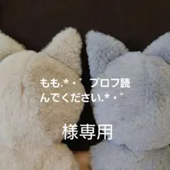 もも.*・゜プロフ読んでください.*・゜様オーダーぬい服