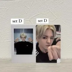 treasure シーグリ 2025 ヨシ ランダム トレカ セットD