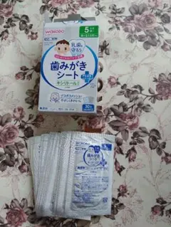 Item thumbnail for item 34abed01-d70b-4269-8e2e-fa3b8e193321