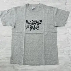 STUSSY INCREASE THE PEACE Tシャツ グレー Mのサムネイル