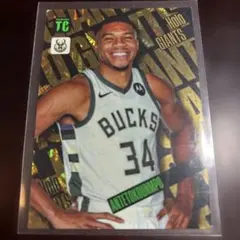 ヤニス・アデトクンボ Panini Top Class NBA