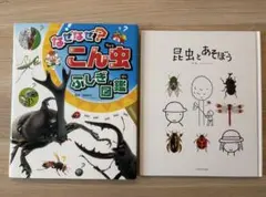 昆虫 図鑑 絵本 2冊セット なぜなぜ？こん虫ふしぎ図鑑 昆虫とあそぼう