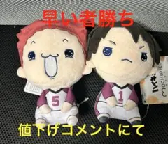ハイキュー!! もちぴこぬいぐるみ第8弾　天童 覚　牛島若利　2種セット