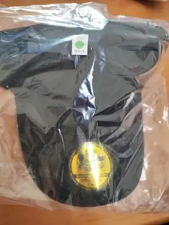 Switch2 ぽこあポケモン エディオン限定特典 メタモン キャップ 帽子