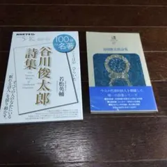 「100分de名著 谷川俊太郎詩集」「谷川俊太郎詩集」2冊セット