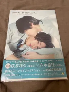 美しい彼 公式ビジュアルブック 萩原利久 八木勇征