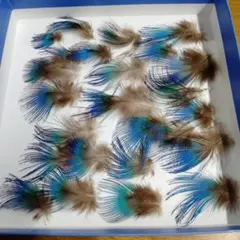 Item thumbnail for item dcff7db1-b4b5-4128-ac50-09cd5e17745b