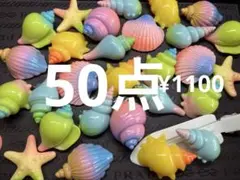 ラス3●60●デコパーツ 50点 貝殻　綺麗！