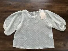 Item thumbnail for item 69cb178b-6206-47d1-8c4c-4a8fa366701d