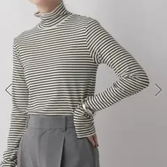 LOWRYS FARM ボーダーテレコタートルLS