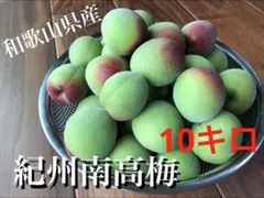 ▲産地直送　紀州南高梅10kg 梅 無添加 和歌山 紀州 白梅 1206 ▽産地直送 紀州南高梅10kg 梅 無添加 和歌山 紀州 白梅 1206 - メルカリ