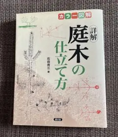 Item thumbnail for item f59e4be2-966b-45f8-819c-a6d70c951324