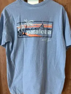 パタロハ　pataloha Tシャツ　パタゴニア　S レギュラーフィットのサムネイル