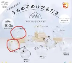 うちの子けだまだま/犬/ペテモ/シープラ/限定