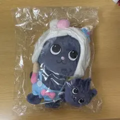 RIIZE PARK MD 20cm DOOL ウォンビン トニャンドク