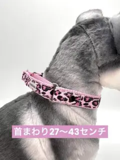 犬用品　首輪　ハーフチョーク