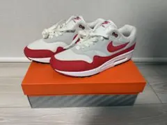 Nike Air Max 1 "Anniversary Red" (2017)のサムネイル