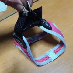 Item thumbnail for item a5935bfa-0c19-43dd-add6-29723ad78d61