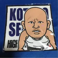 HIGH&LOW 関虎太郎 ハンドタオル