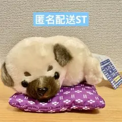 豆しば三兄弟 お座布でのんびり STぬいぐるみ パグ兵衛 - メルカリ