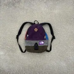 THE NORTH FACE パープルレーベル リュック　フリース