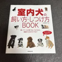 Item thumbnail for item df2c0725-8b63-4cc3-a0db-0662571b135f