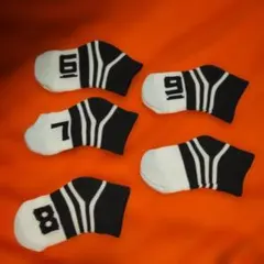 Item thumbnail for item 08df7b23-04dd-457c-aa46-bd7da0da10bb