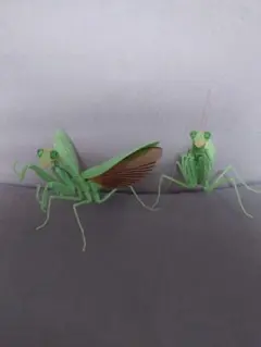 いきもの大図鑑　カマキリ
