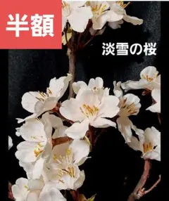 豆乳様 リクエスト 3点 まとめ商品