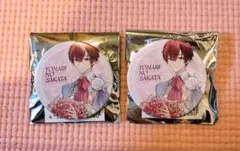 あほの坂田 缶バッジ 2個セット