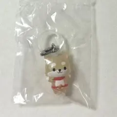 JOCHUM めじるしアクセサリー まめちぃ